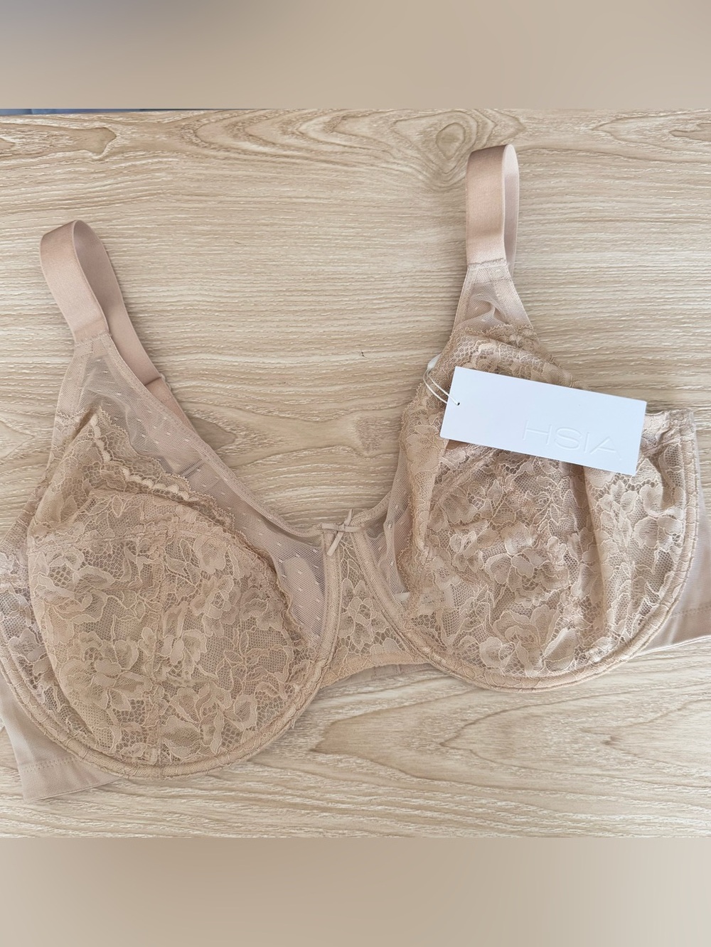 Hsia 42G NEW Lace Bra Nude Underwire Neutral Mesh
